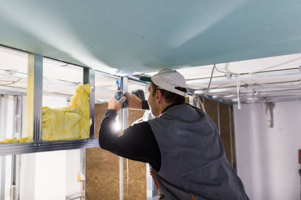 Best Cellulose Insulation in Kimball, TN